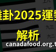 九離卦2025運勢大解析 | 九離卦如何影響未來20年 | 九離卦與財運的關聯 | 九離卦揭示2025年趨勢